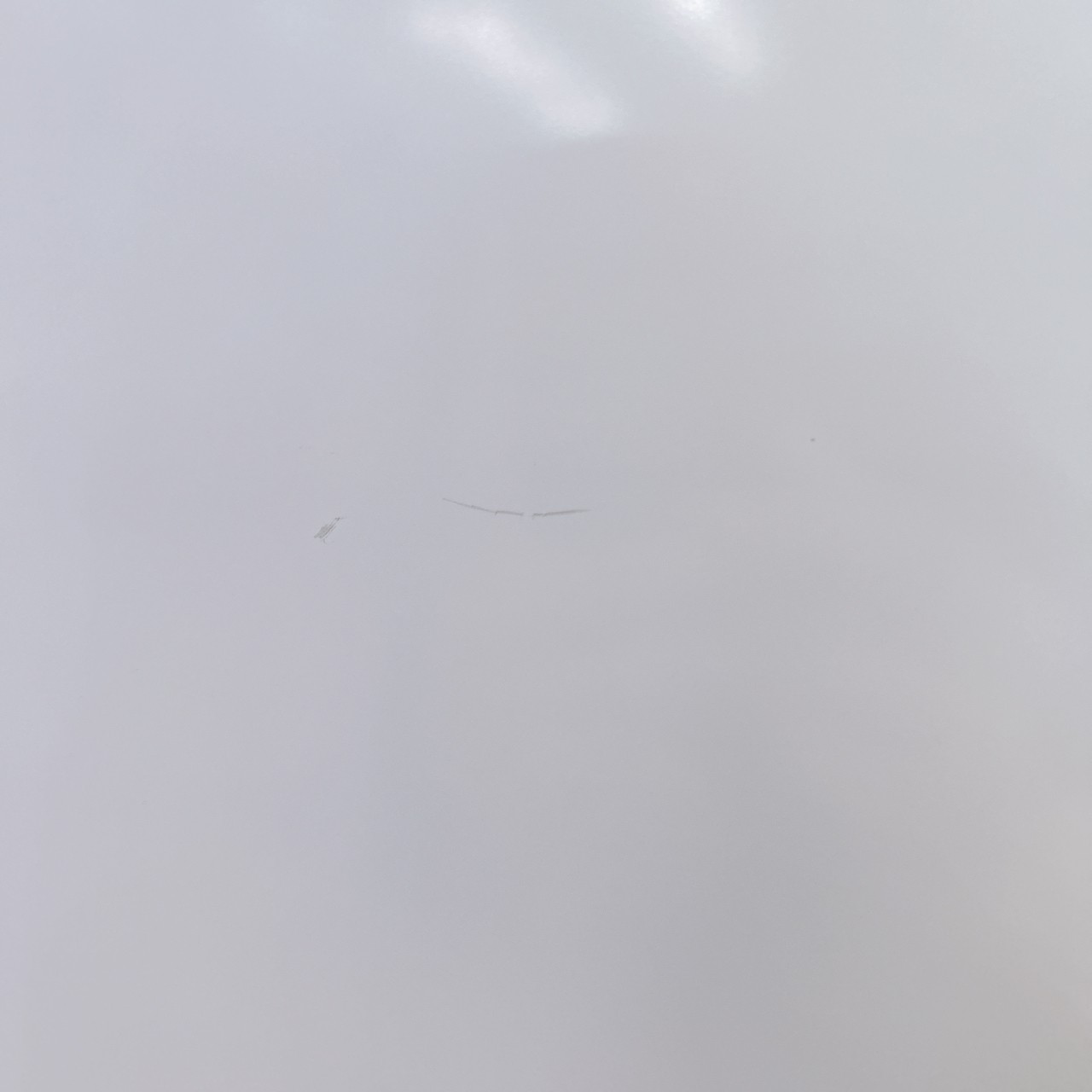 パナソニック 洗濯機 一人暮らし 5.0㎏ 小型 2022年製 引越し 新生活