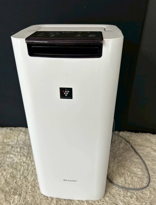SHARP シャープ 加湿空気清浄機 KI-NS40W 2020年製