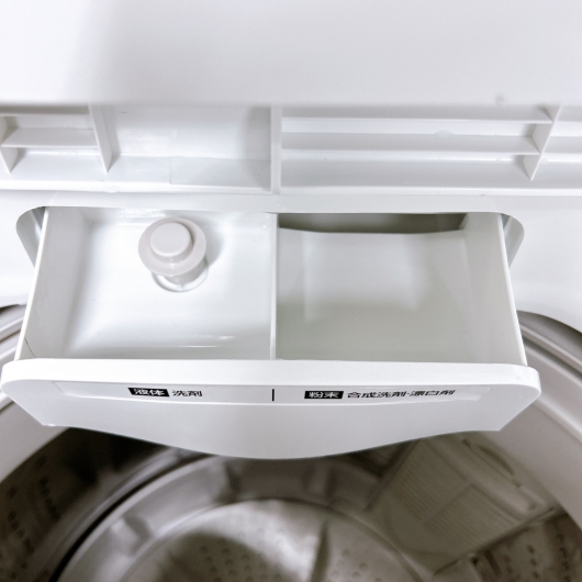 アイリスオーヤマ IAW-T451 一人暮らし単身用洗濯機 4.5kg OE12235