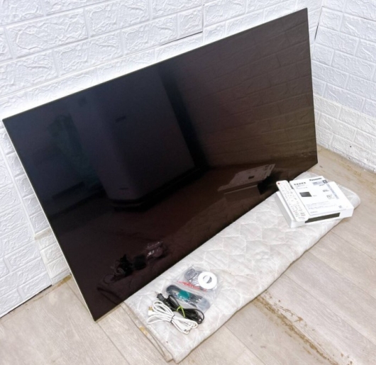 Panasonic パナソニック 有機ELテレビ VIERA TH-55LW1Y 55V型 2022年製