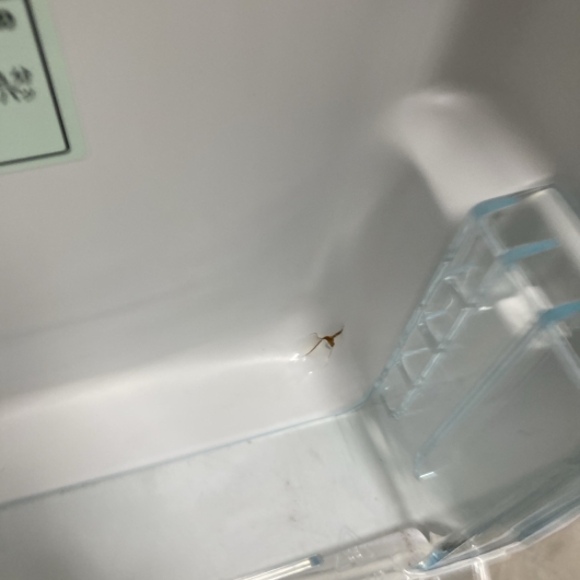 アイリスオーヤマ KRD162-W 一人暮らし単身用冷蔵庫 162L MKT1107109