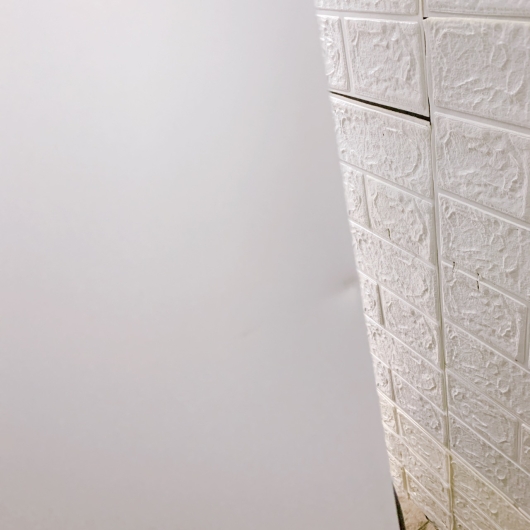 アイリスオーヤマ IRSN-HF24A-W 一人暮らし単身用冷蔵庫 235L B01308