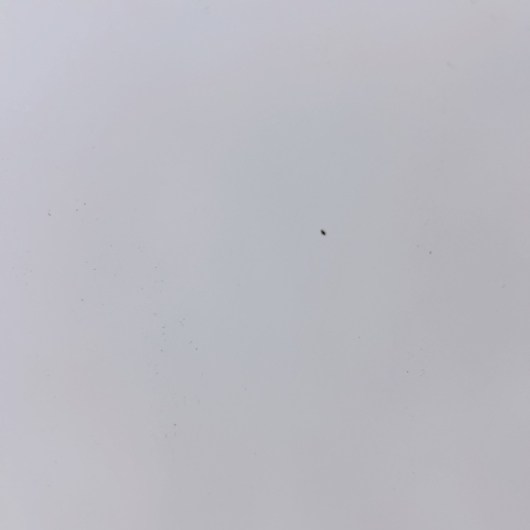 アクア AQR-17NBK(W) 一人暮らし単身用冷蔵庫 168L B10255