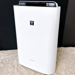SHARP シャープ KC-N50-W 加湿空気清浄機 2021年製