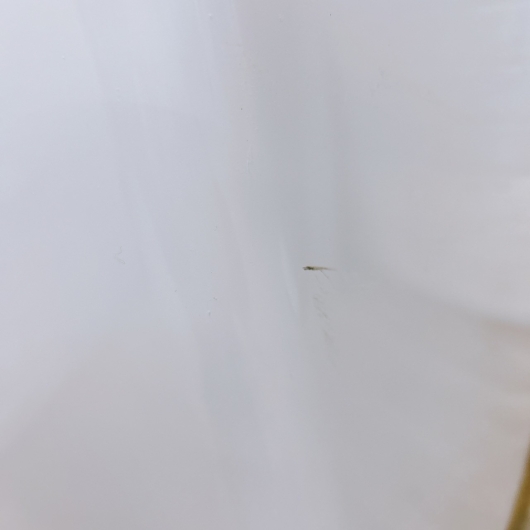 シャープ ES-PX8F-W  一人暮らし単身用洗濯機 8.0kg MKT02131