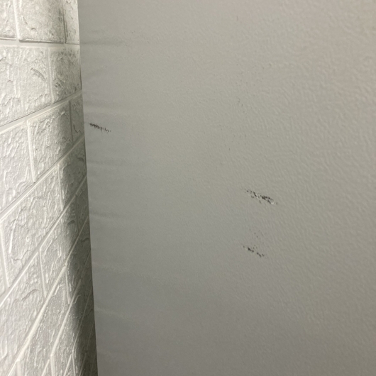 アイリスオーヤマ IRSN-23A-S 一人暮らし単身用冷蔵庫 231L MKT1107105