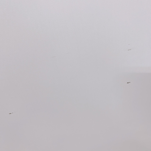 シャープ SJ-D15G-W 一人暮らし単身用冷蔵庫 152L CK01127